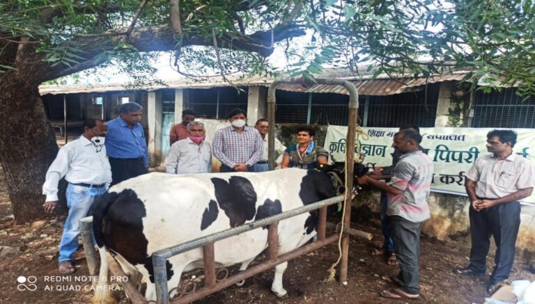 Lumpy Disease  vaccination